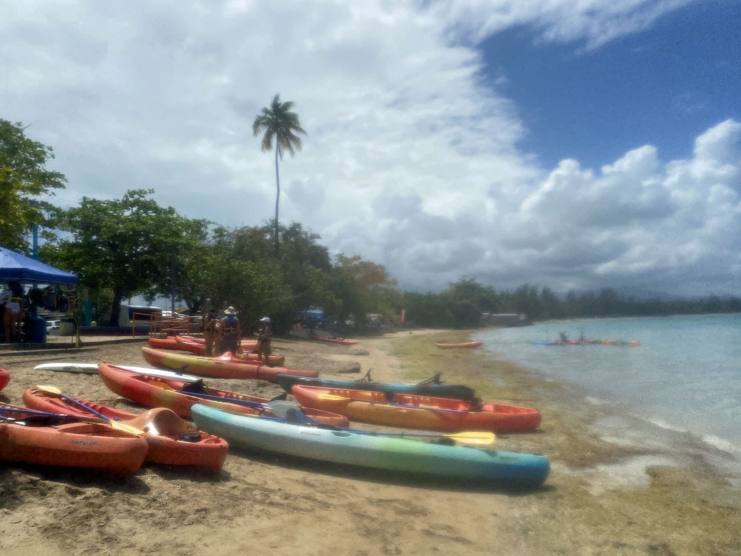 fajardo catamaran snorkeling